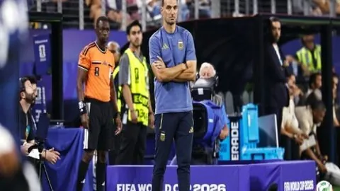 世界杯2026买，在线买球，球平台 100446