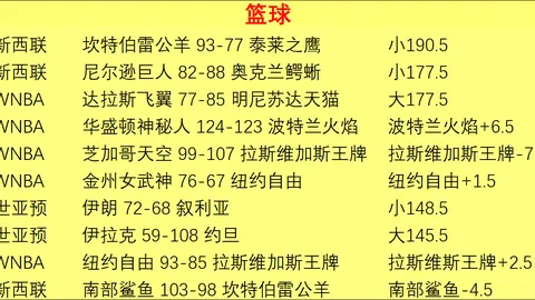 世界杯2026买，在线买球，球平台 101752